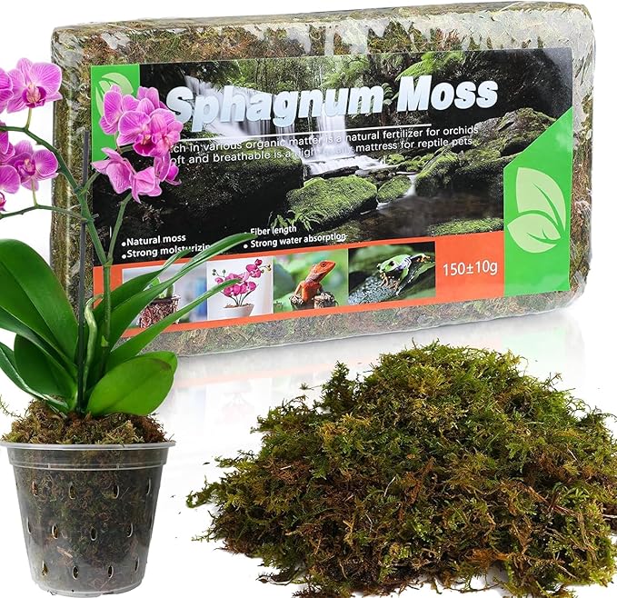 Dried Forest Moss for Plants (5 qt / 1 Pack), Sphagnum Potting Moss for Various Plants, Including Orchids, Carnivorous Plants, Succulents, Garden Flowers, and Reptiles