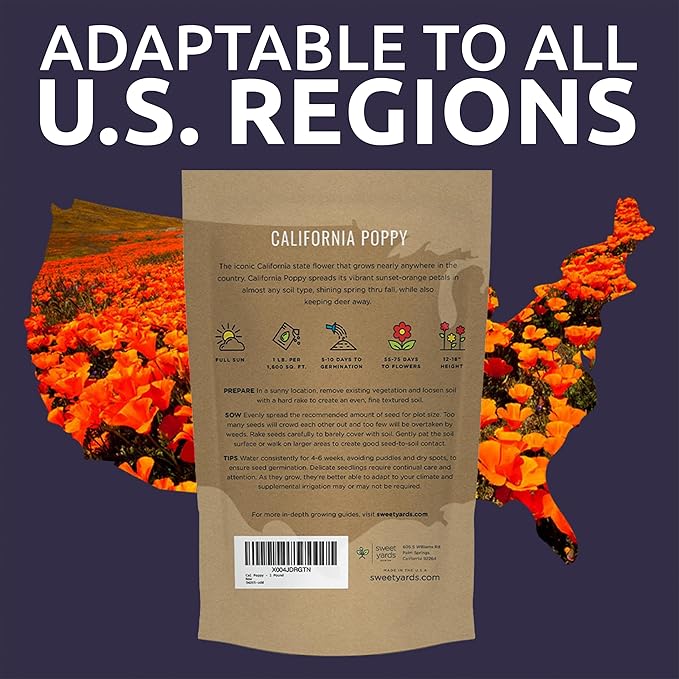 Bulk California Orange Poppy Wildflower Seeds - 5 Pounds - Over 1,600,000 Native Seeds - California State Flower!