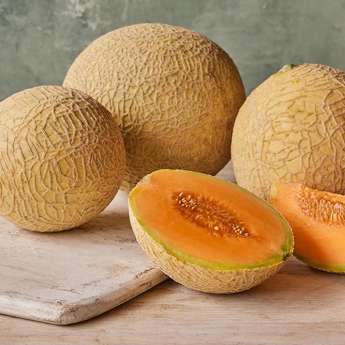 Burpee Heirloom Hale's Best Jumbo Cantaloupe Seeds - Sweet, Aromatic Melon