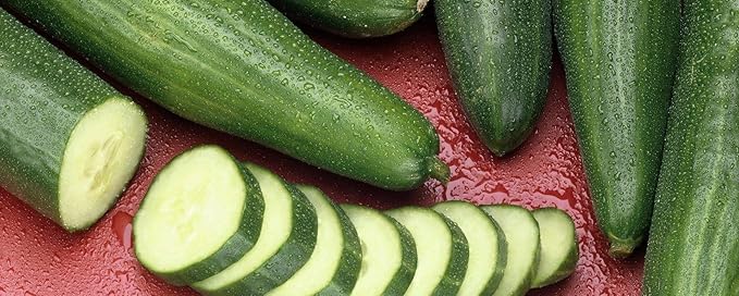 CEMEHA SEEDS Cucumber Emilia F1 Long Giant Vine Self-pollinated Vegetable Hybrid Non-GMO for Planting
