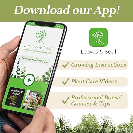 LEAVES AND SOUL Professional Liquid Melon Fertilizer | 5-1-5 Concentrate, Liquid Plant Fertilizer for Garden, Healthy Produce, Good Harvest, Multi-Purpose Blend & Gardening Supplies | 8 oz