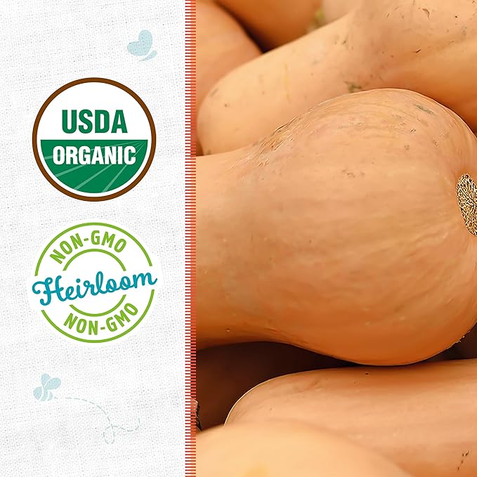 Back to The Roots 100% Organic Seed Packet - Squash 'Winter Waltham Butternut' 2.8g