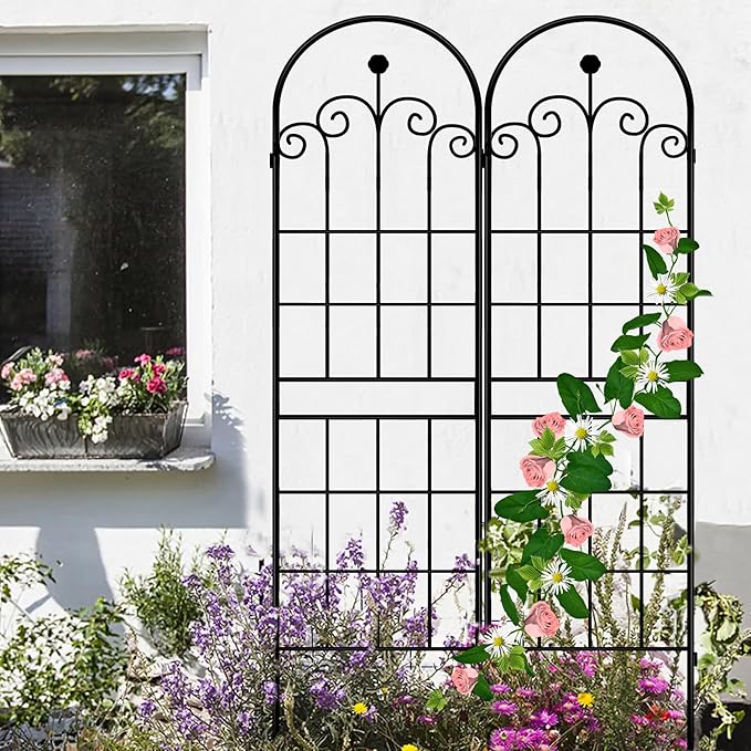 LZRS 2 Pack 71x20in Rustic Iron Arch Decoration Garden Trellis with Black Metal Coating – Perfect for Supporting Climbing Plants Outdoor, Roses, Vines, Flowers, and Vegetables.