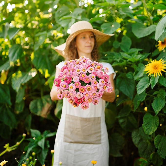 Eden Brothers Zinnia Seeds - Lilliput Rose, Non-GMO Seeds for Planting, Packet | Low-Maintenance Flower Seeds, Plant During Spring, Zones 3, 4, 5, 6, 7, 8, 9, 10