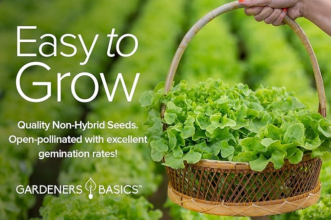 Gardeners Basics, Salad Greens Lettuce Seeds Heirloom Vegetable Seed 23,000 Seeds for Planting Indoors and Outdoor 10 Packs - Buttercrunch, Romaine, Iceberg, (and More) Leaf and Head Variety Pack