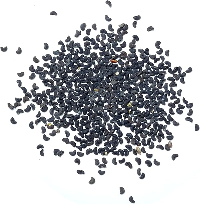 Seed Needs Rue Seeds for Planting Medicinal Herbs - Non-GMO Heirloom & Untreated Perennial Herb Seed to Plant a Home Grown Garden Indoors or Outdoors (5 Packs)