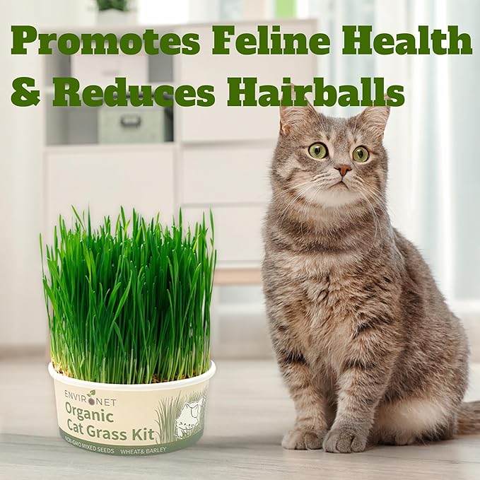 Environet Cat Grass Kit for Indoor Cat, Organic Grass Growing Kit with Seeds, Soil and Planting Tools, Quick Germination, Perfect for Beginners