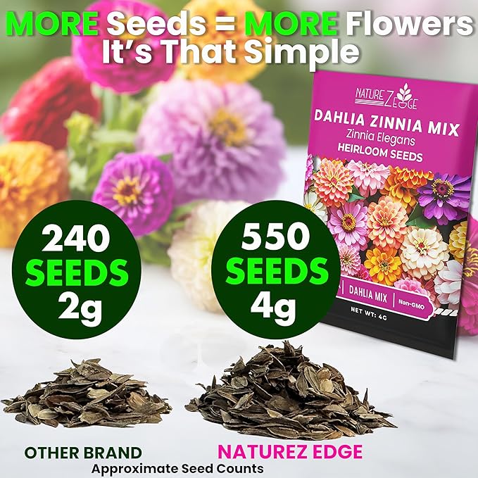 NatureZ Edge Zinnia Seeds for 2026 Planting Outdoors, Over 550 Flower Seeds, 4g, Non GMO Made in USA, Bulk Semillas De Flores para Sembrar, Dahlia Mix, Easy to Grow Zinnia Seed Mix