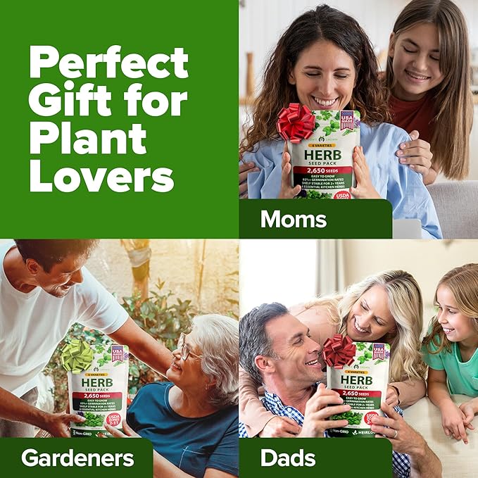 HOME GROWN 6 Herb Seeds for Planting 2,650+ Non-GMO Heirloom Seeds | Extra Large Variety Pack Herb Kit – Indoor Outdoor & Hydroponic | Culinary Seed Set | Grow Your Own Herbs | Gift for Beginners