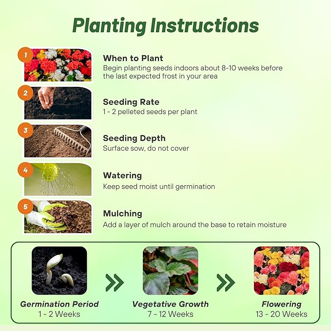 Outsidepride Mix Limitless Begonia Seeds for Planting - 25 Pcs Perennial Flower Seeds with Large Blooms, Arching & Pendulous Growth Habit, for Containers, Hanging Baskets, or Landscape Plantings