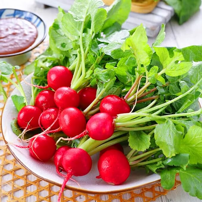 Mixrug 7 Types Radish Seeds Pack for Planting, 840pcs Non-GMO Heirloom Radish Vegetable Seeds, Vegetables Plants Home Fresh Food Garden for Outdoors Indoors