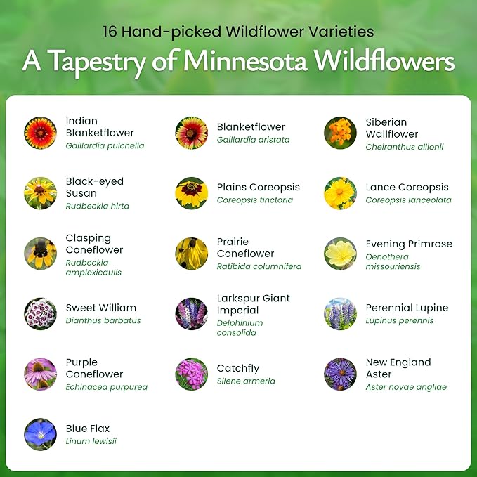 Created By Nature Minnesota Wildflower Seed Mix, 16 Flower Varieties, 40,000+ Seeds