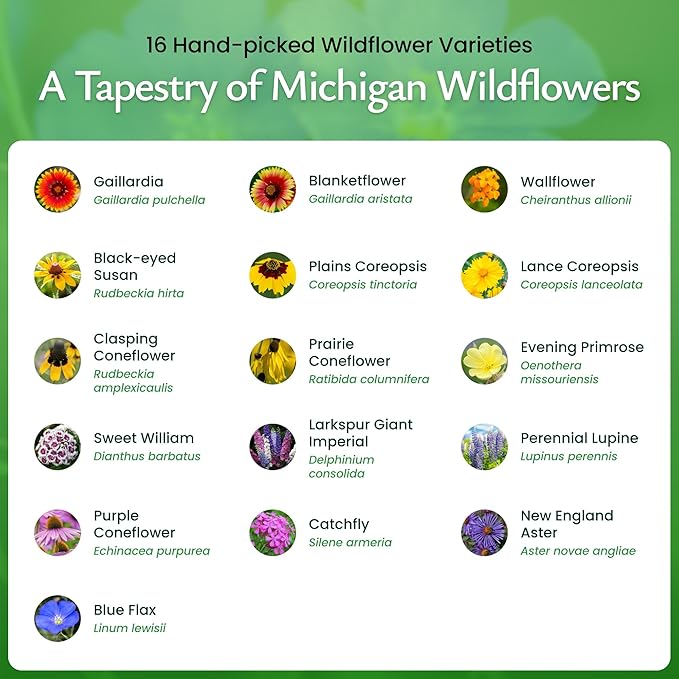 Created By Nature Michigan Wildflower Seed Mix, 16 Flower Varieties, 40,000 Seeds
