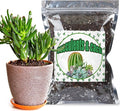 Cactus & Succulent Soil Mix 4qt, Chunky Well-Draining Soil for Indoor Plants - Spike & Bloom