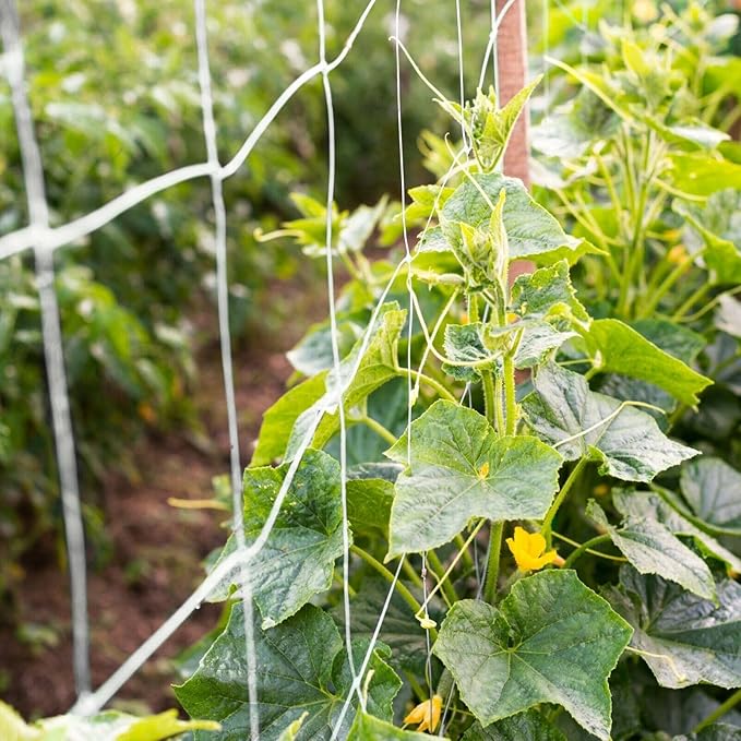 Plant Trellis Netting 5 * 15FT 3.5 Mesh Heavy-Duty Polyester Grow Net, Garden Trellis Netting with Square Mesh for Climbing Plants, Vegetables, Fruits and Flowers