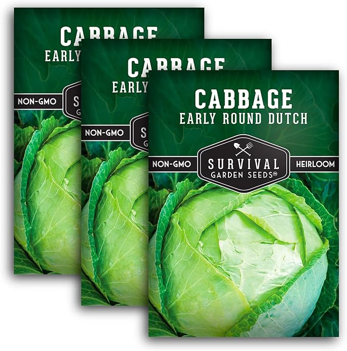 Early Round Dutch Cabbage Seeds for Planting | Heirloom Non-GMO Cold Hardy Variety for Spring & Fall Gardens - Storage & Sauerkraut Cabbages - Survival Garden Seeds (3 Packs)