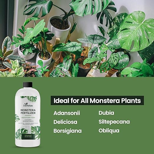 16oz Monstera Plant Food - Makes 96 Gallons of Monstera Fertilizer, Liquid Indoor Plant Fertilizer for Obliqua, Deliciosa and More, 6-2-4 NPK Ratio for Houseplants’ Healthy Growth & Glossy Leaves