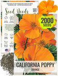 Seed Needs, California Orange Poppy Wildflower Seeds - 2,000 Heirloom Seeds for Planting Eschscholzia californica - Tender Perennial to Attract Butterflies, Bees & Other Pollinators (1 Pack)
