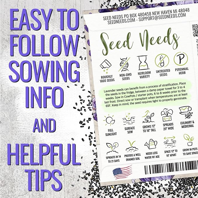 Seed Needs Lavender Seeds for Planting Hidcote Lavandula Plants - Non-GMO Heirloom & Untreated Medicinal Herb Seed to Plant & Grow an Outdoor Home Grown Herb Garden (1 Pack)