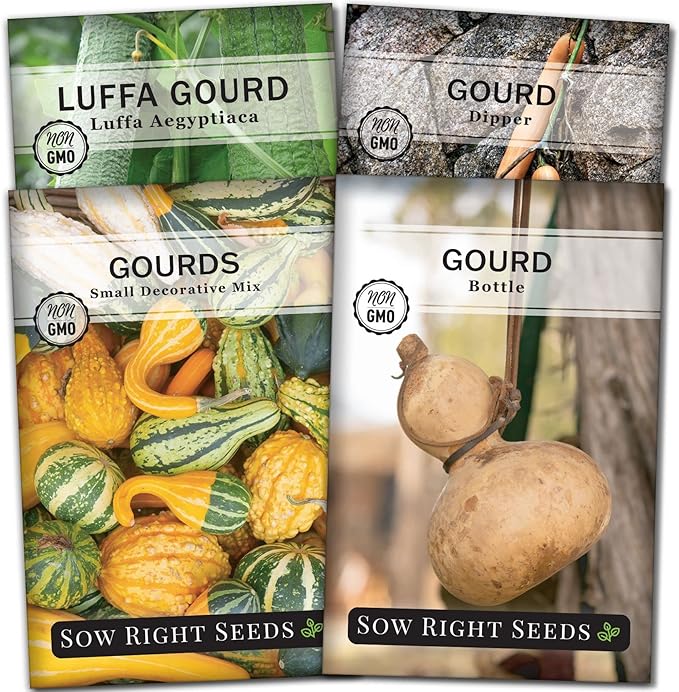 Sow Right Seeds - Gourd Seed Collection for Planting - Packets of Decorative, Luffa, Dipper & Bottle Gourds - Grow Your Own Crafts, Home Decor & More - Non-GMO Heirloom Packets with Instructions