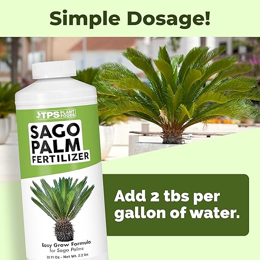 Sago Palm Fertilizer – Liquid Plant Food for Rich Green Fronds, Stronger Roots & Healthy New Growth, 32 oz
