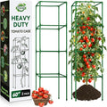 Halatool Square Tomato Cages Heavy Duty,60 Inch Foldable Metal Tomato Trellis,Large Tomato Plant Cage for Climbing Vegetables, Fruits & Flowers for Garden,2 Pack