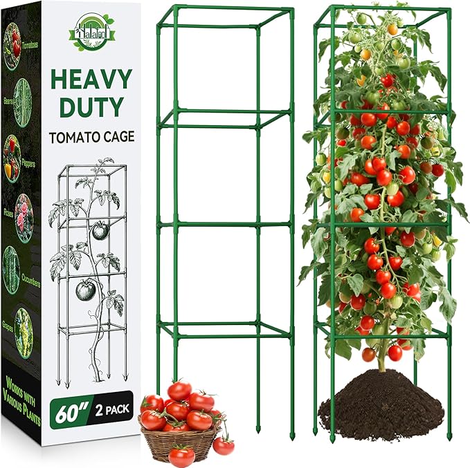 Halatool Square Tomato Cages Heavy Duty,60 Inch Foldable Metal Tomato Trellis,Large Tomato Plant Cage for Climbing Vegetables, Fruits & Flowers for Garden,2 Pack