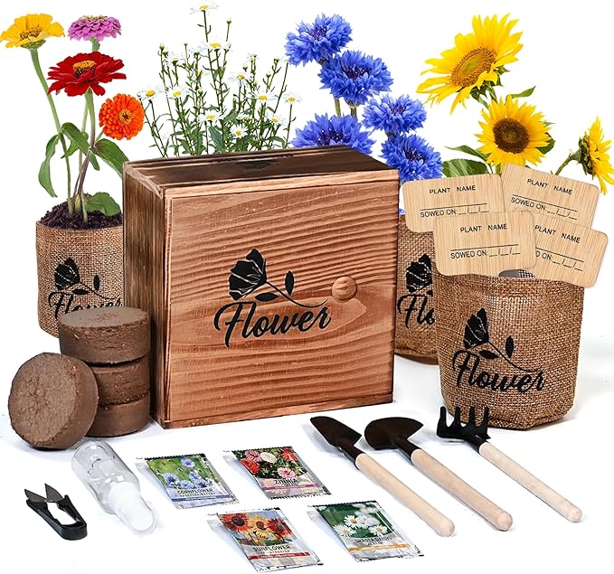 Meekear Indoor Starter 4 Kit with Complete Gardening Kit & Wooden Box, Growing into Shasta Daisy, Cornflower, Sunflower, Zinnia
