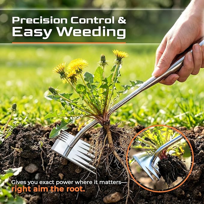 Upgraded Weed Puller Tool, 4-Tooth Stainless Steel Manual Weeder, Garden Weed Remover Tool for Vegetable Gardening Backyard Farm Planting & Weeding