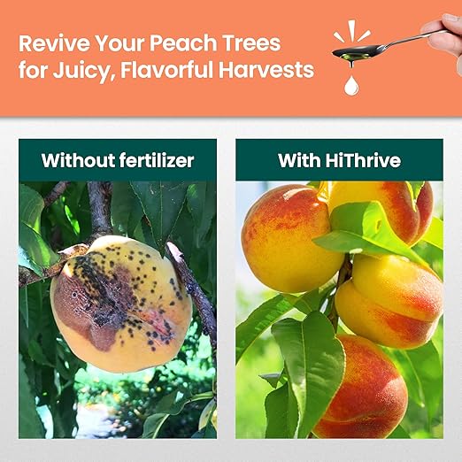 16oz Peach Plant Fertilizer - Makes 16 Gallons of Peach Tree Fertilizer for Peaches, Liquid Plant Food with Macronutrients + Micronutrients for Bigger, Sweeter Fruits, Healthy Growth & Strong Roots