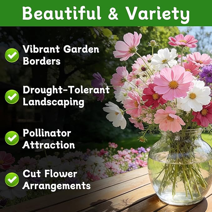 Cosmos Seeds for 2026 (4,500+ Seeds) - Crazy Blend Mix Color, Cosmos Flower Seeds for Planting Garden, No Filler, 1.5 Oz Packet, Easy to Grow