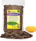 Gardenera's Premium Citron Tree Soil Mix - The Ideal Blend of Nutrients and Aeration for Growing Healthy and Productive Citrus Medica Trees - 5 Quart