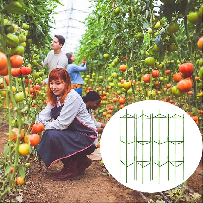 Moirsunt 6 Packs Tomato Cages Plant Cages Deformable Up to 48inch Garden Tomato Stakes Vegetable Trellis, Plant Supports Tomato Trellis for Vertical Climbing Plants Flowers Fruits