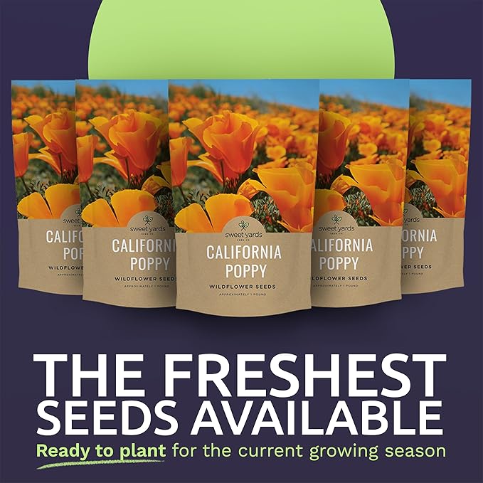 Bulk California Orange Poppy Wildflower Seeds - 5 Pounds - Over 1,600,000 Native Seeds - California State Flower!