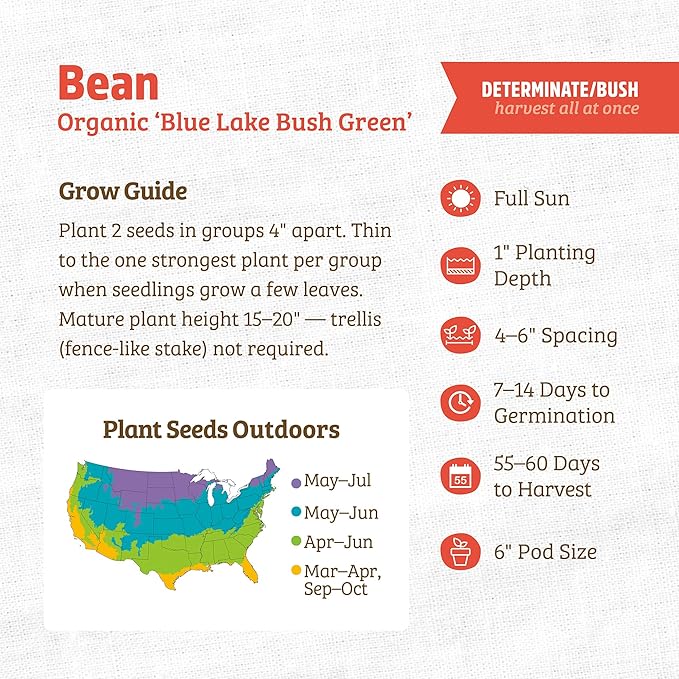 Back to The Roots 100% Organic Heirloom Seeds - Green Bean Value Pack (16.8g Total)