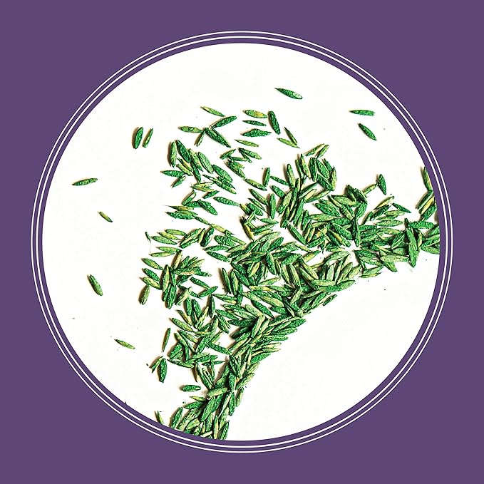 Pennington Smart Seed Dense Shade Grass Mix Bag 7 lb