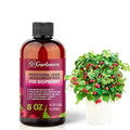 𝐁𝐄𝐒𝐓𝐒𝐄𝐋𝐋𝐄𝐑 Liquid Silica Plant Supplement - 8oz - Raspberry Plants Liquid Silica Boost Fertilizer - Stronger Stems & Healthy Leaves for Indoor & Outdoor Raspberry Plants (Makes 45 Gallons)