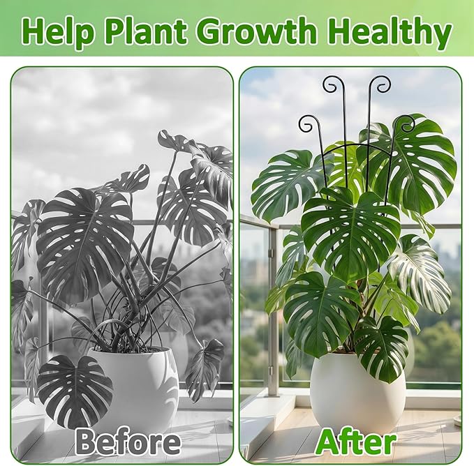 Monstera Plant Support - 32.6 Inch Tall Trellis with 2 Pack Plant Stakes for Your Large Climbing Monstera Deliciosa | Indoor Plant Climbing Frame for Potted Growth