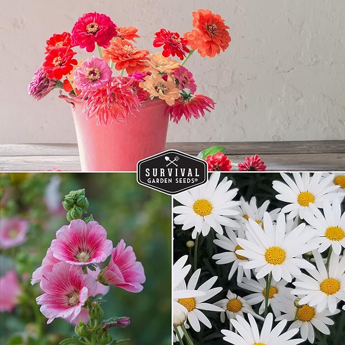 5 Flower Seed Collection for Planting – Zinnia, Marigold, Coneflower, Daisy & Hollyhock – Heirloom Non-GMO Pollinator & Cut Flower Garden Gift Pack | Survival Garden Seeds