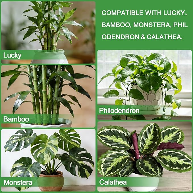Pure Natural Potting Soil for Lucky Bamboo Plants 1qt - Superior Drainage & Breathability, Ideal Indoor Plant Soil