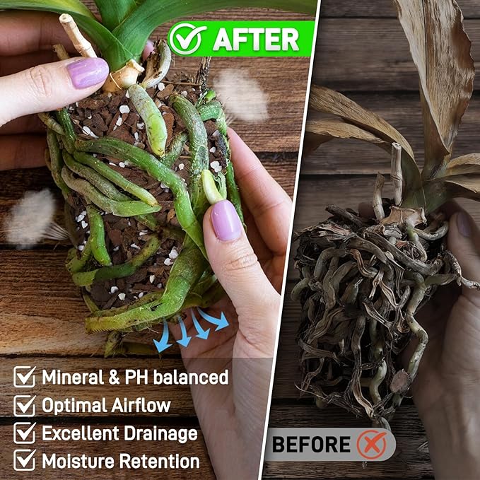 3QT Orchid Bark Potting Mix, Natural Orchid Potting Mix for Repotting, Blended with Small Pine Bark and Perlite to Provide Ideal Ventilation and Good Drainage for Orchids and Other Potted Plants