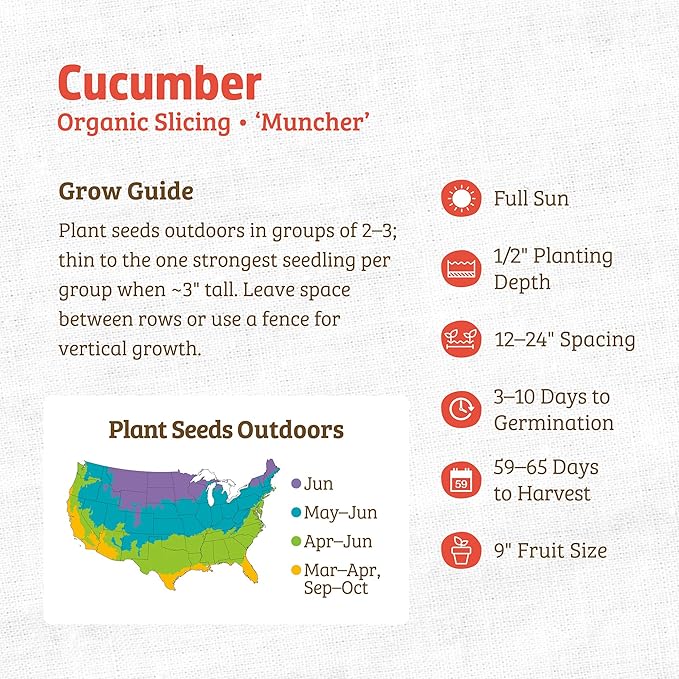 Back to The Roots 100% Organic Heirloom Seeds - Burpless Cucumber Value Pack (3g Total)
