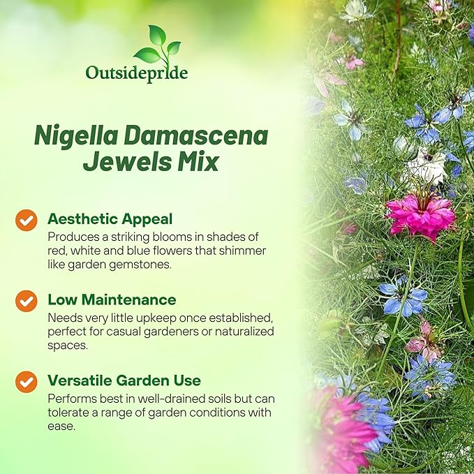 Outsidepride Jewels Mix Nigella Seeds - 1000 Pcs Annual Flower Seeds for Planting with Vibrant Blooms & Lacy, Fern-Like Foliage, Attractive Cut Flower for Small Garden Spaces & Floral Arrangements