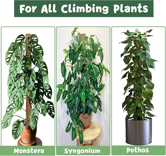 1 Pack 47.24 Inch Bendable Moss Pole for Monstera,120cm Plant Support Moss Sticks Stakes for Climbing Indoor Plants, Pothos & Philodendron - Coir/Coco Plant Trellis for Potted Climbers & Houseplants