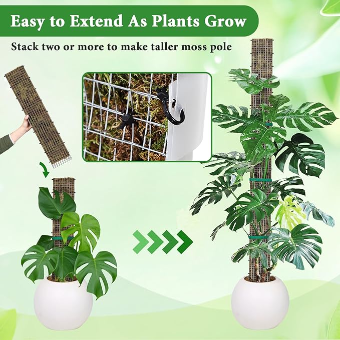 24"+40"+60" Metal Moss Pole - 6 Pack D Shape Sphagnum Moss Pole, Moss Poles for Climbing Plants, Monstera, Climbing Plants Indoor