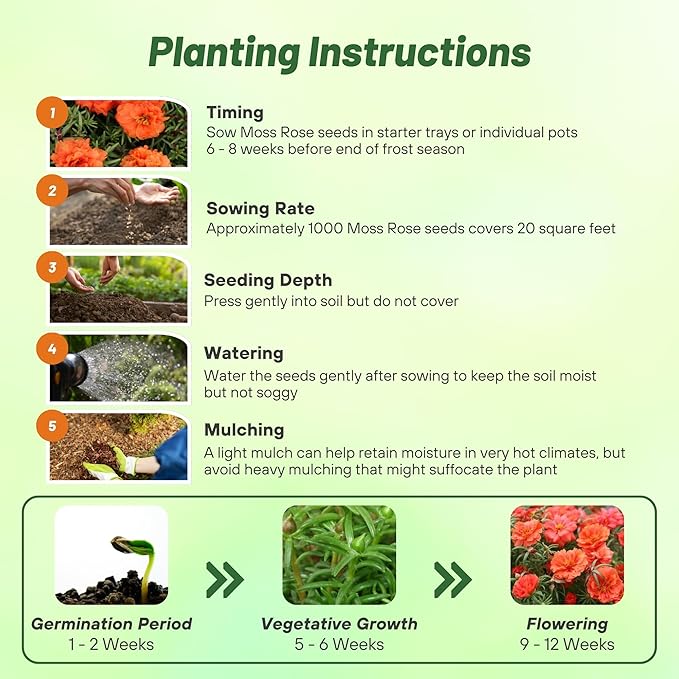 Outsidepride Orange Moss Rose Seeds - 5000 Pcs Annual, Drought & Heat Tolerant, Pollinator Friendly Ground Cover Seeds for Planting w/Vibrant Blooms & Succulent Foliage, Ideal for Xeriscaping