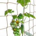 Jute Trellis Netting - Jute Netting for Climbing Plants, Heavy Duty Garden Plant Support Netting for Cucumber, Vine, Fruits & Vegetables Tomato Plants Trellis Net (6.6 x 32.8 Ft, 3.9 Inch Squares)