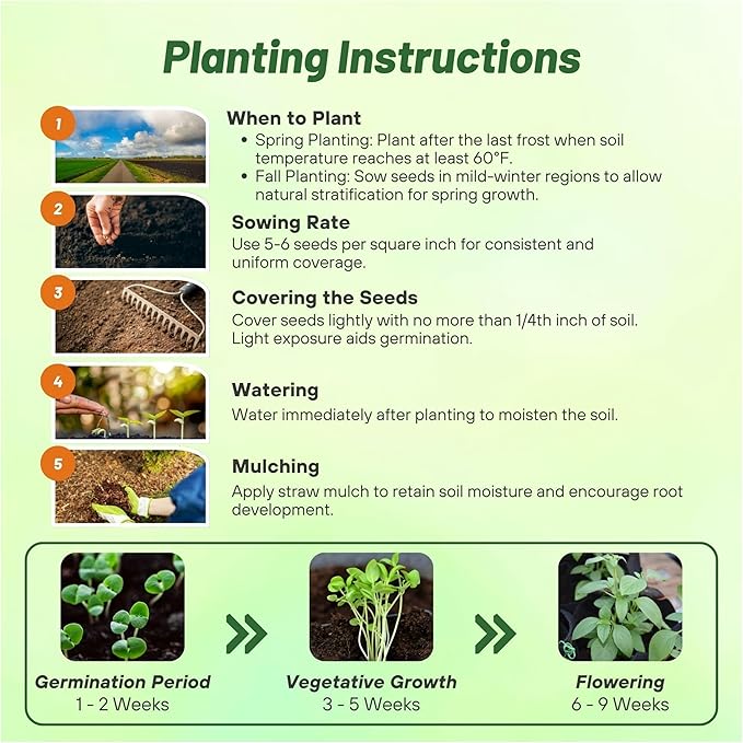 Outsidepride Lemon Basil Seeds for Planting - 5000 Pcs Easy to Grow Annual Herb Garden Seeds with Aromatic & Flavorful Foliage for Containers, Companion Planting, Indoors & Outdoors