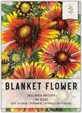 Seed Needs, Blanket Flower Seeds for Planting (Gaillardia aristata) Single Package of 100 Seeds - Heirloom & Open Pollinated, Attracts Butterflies