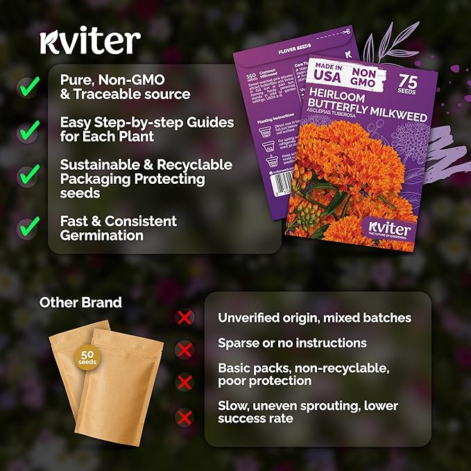 KVITER 75 Orange Butterfly Weed Seeds (Asclepias Tuberosa) - Orange Milkweed, Blazing Wildflower, Butterfly Favorite - Perennial Flower Seeds in Seed Packets for Outdoor Gardens and Roadsides